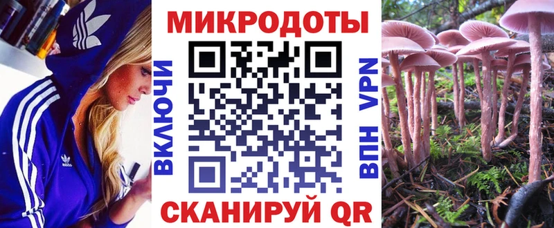 Псилоцибиновые грибы мицелий  Купить  Новомичуринск 